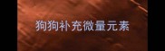 狗狗补充微量元素