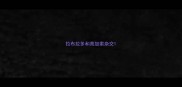 拉布拉多和高加索杂交