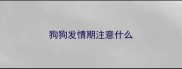 狗狗发情期注意什么