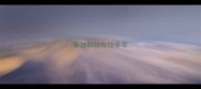 泰迪和拉布拉多串