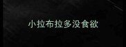 小拉布拉多没食欲
