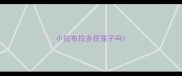 小拉布拉多住笼子吗