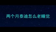 两个月泰迪怎么老睡觉