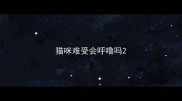 猫咪难受会呼噜吗