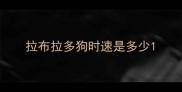 拉布拉多狗时速是多少