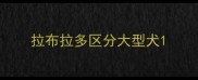 拉布拉多区分大型犬