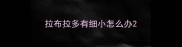 拉布拉多有细小怎么办