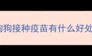 狗狗接种疫苗有什么好处