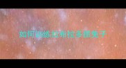 如何训练拉布拉多抓兔子