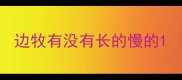 边牧有没有长的慢的