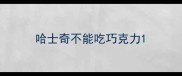 哈士奇不能吃巧克力