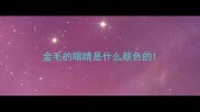 金毛的眼睛是什么颜色的