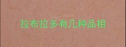拉布拉多有几种品相