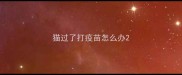 猫过了打疫苗怎么办