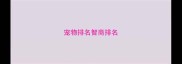 宠物排名智商排名