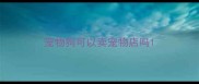 宠物狗可以卖宠物店吗