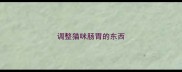 调整猫咪肠胃的东西