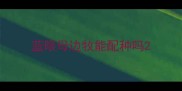 蓝眼母边牧能配种吗