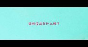 猫咪疫苗打什么牌子