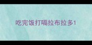 吃完饭打嗝拉布拉多