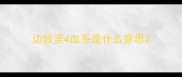 边牧美4血系是什么意思