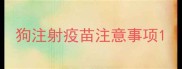 狗注射疫苗注意事项