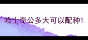 哈士奇公多大可以配种