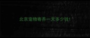 北京宠物寄养一天多少钱