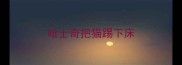 哈士奇把猫踢下床