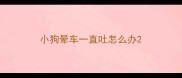 小狗晕车一直吐怎么办