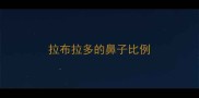拉布拉多的鼻子比例