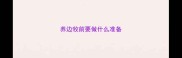 养边牧前要做什么准备