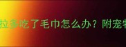 紧急处理拉布拉多吃了毛巾怎么办附宠物误食自救指南