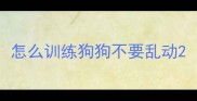 怎么训练狗狗不要乱动