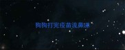 狗狗打完疫苗流鼻涕