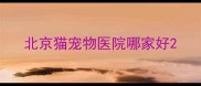 北京猫宠物医院哪家好