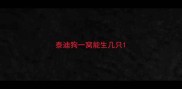 泰迪狗一窝能生几只