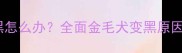 金毛毛色变黑怎么办全面金毛犬变黑原因及解决方法