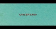 边牧还是阿拉斯加