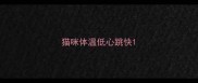 猫咪体温低心跳快