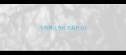 小狗身上有红点是什么