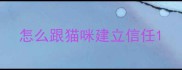 怎么跟猫咪建立信任