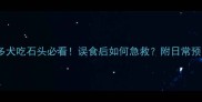 拉布拉多犬吃石头必看误食后如何急救附日常预防指南