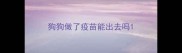 狗狗做了疫苗能出去吗