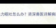 泰迪犬四肢无力呕吐怎么办资深兽医详解病因与救治指南