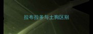 拉布拉多与土狗区别