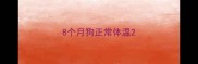 8个月狗正常体温