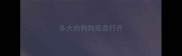 多大的狗狗疫苗打齐