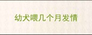 幼犬喂几个月发情
