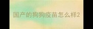 国产的狗狗疫苗怎么样